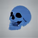 -Skullz-