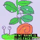 #001 Slug Face WEED Snail trails