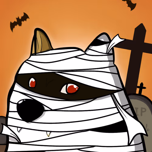 #078 Festival  DOGE