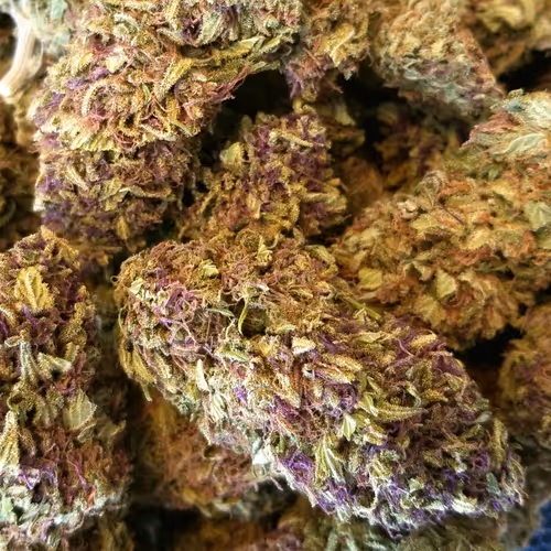 0xFlowerShop