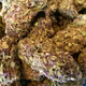 0xFlowerShop