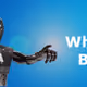 botter