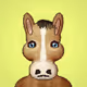 Robin Donks