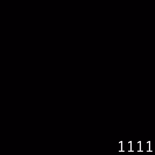 V1111