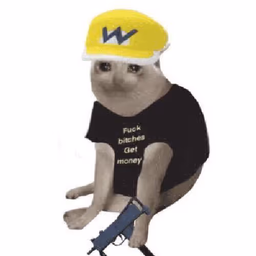 Airshipt ycoon Cat
