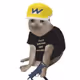 Airshipt ycoon Cat