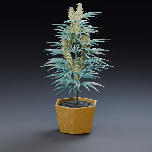 WEED WEST