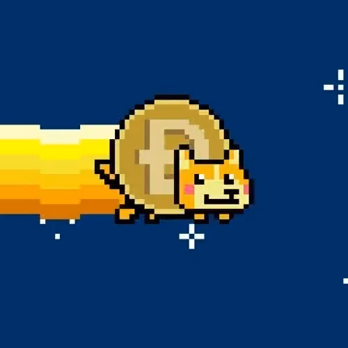 Nyan Dogecoin RH