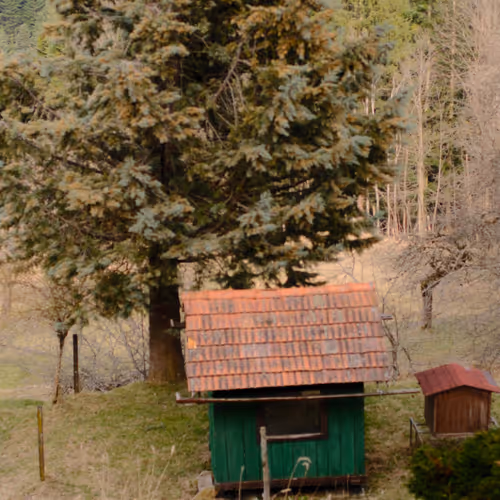Bee House I