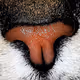 0xMacro_Shots