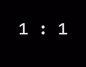 1 : 1 | The Collection