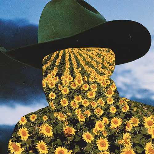 1/1 By Danilo Cicero