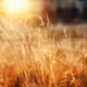 1 MB IMAGE TEST