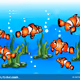10 Clown Fish of the sea