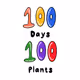 100 Churro Plants - old V2