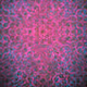 Random Colors1000
