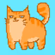 1000 Pixel