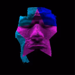 114Shut Masks