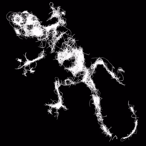 12 Lizards - old