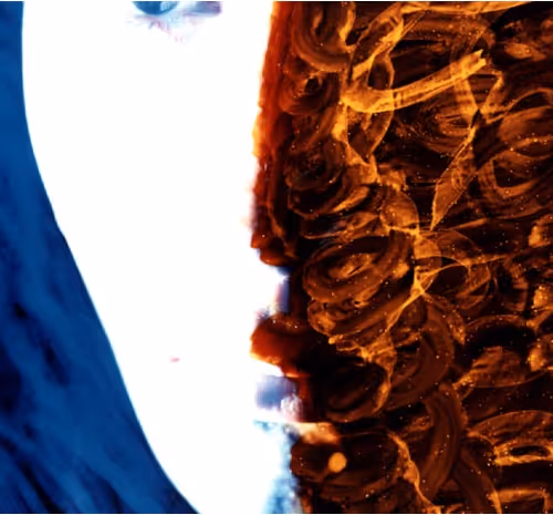 1991 - HEAVEN & HELL