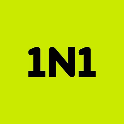1N1