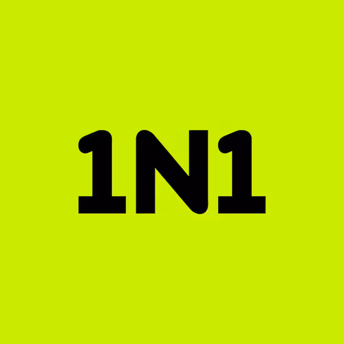 1N1