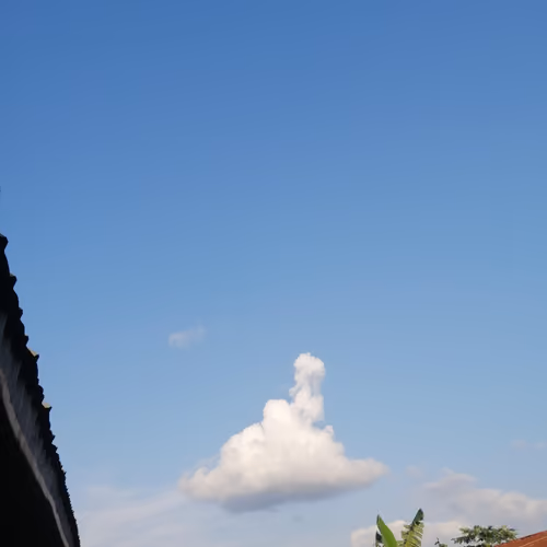 1 Sky