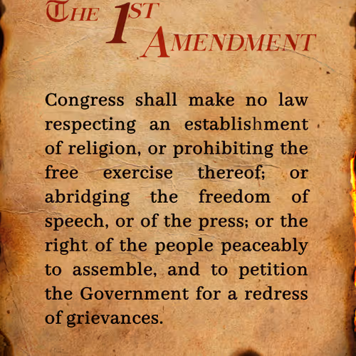 1st Amendment NFT Buring Away Our Rights