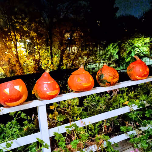 2021 Autumn