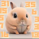 2023 Rabbit x Lucky Number Room