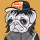 Birthday Pugs