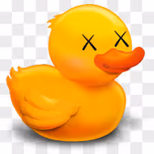 25425