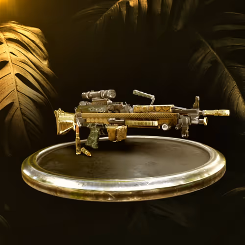 2nd Amendment : Guns