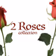 2 roses