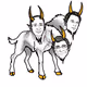 3 headed Goats