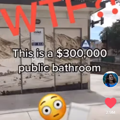 $300K Toilet TikTok