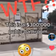 $300K Toilet TikTok