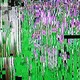 30 FRAMES A SEC - old