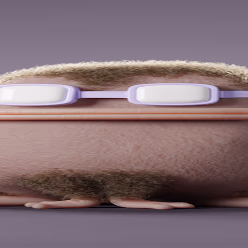 3131321321313ed - old