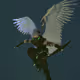 3D Avatars I