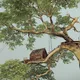 3D Equilibrio