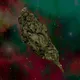 3D Weed Buds - old