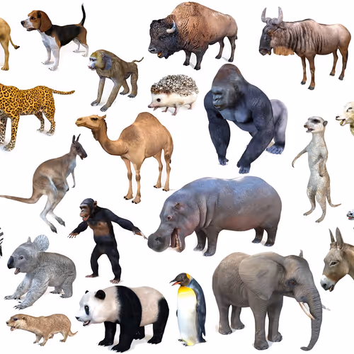 3d animal world