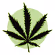 420 Bros - old