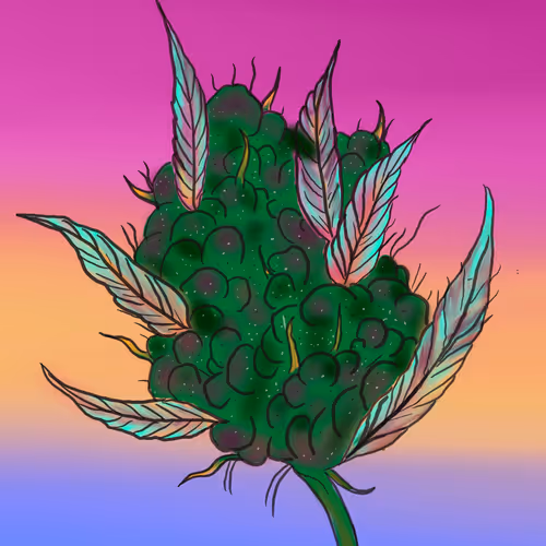 420dawn