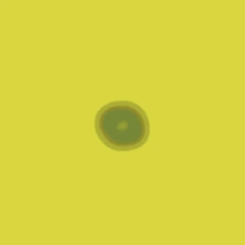 420gif