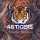 48 Tigers
