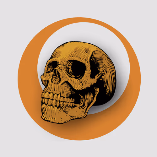 4 Kingdom Of Skull