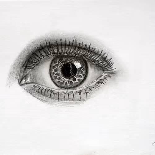 The 5 Senses