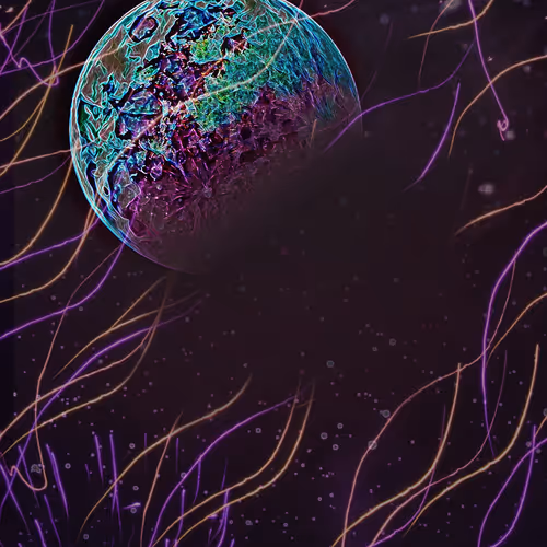 5000 Moons V1 - old